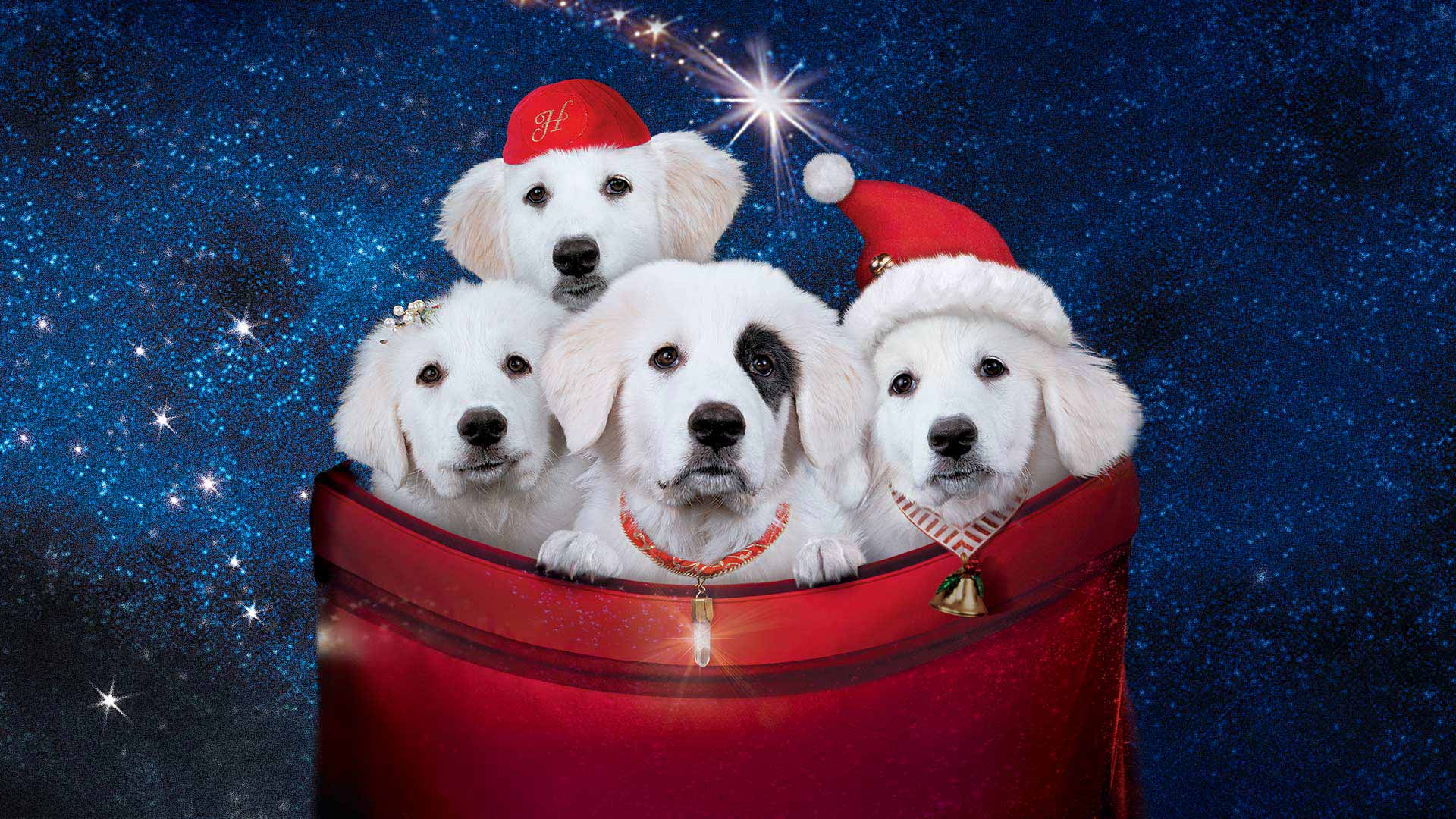 santa-paws-2-the-santa-pups-disney
