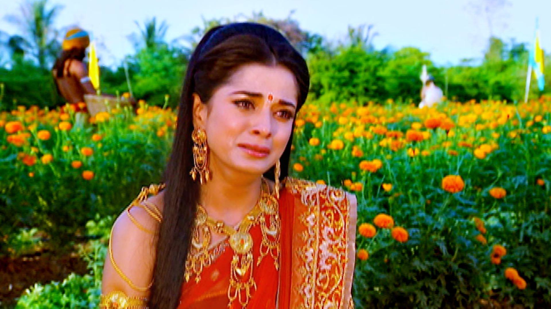 Panchali Requests Vasudeva