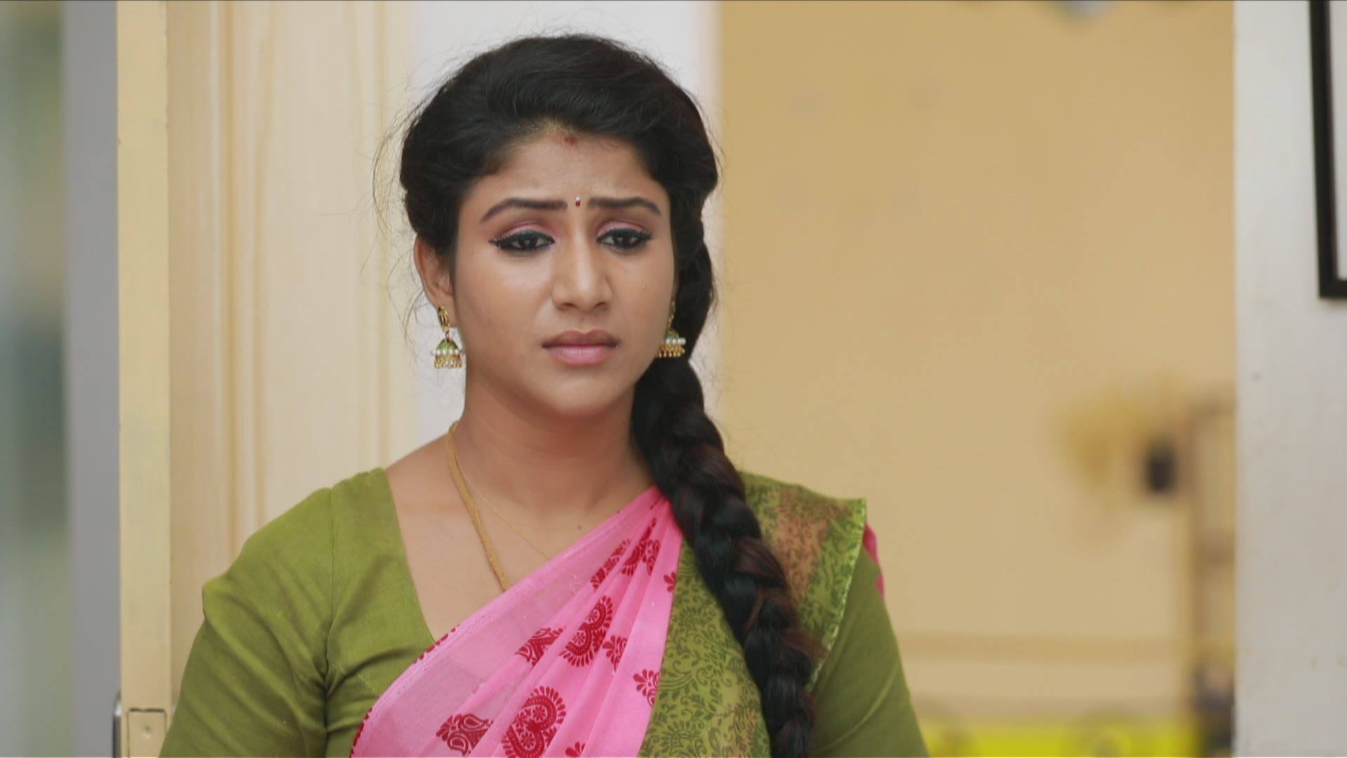 Watch Raja Rani 2 S1 Episode 121 on JioHotstar