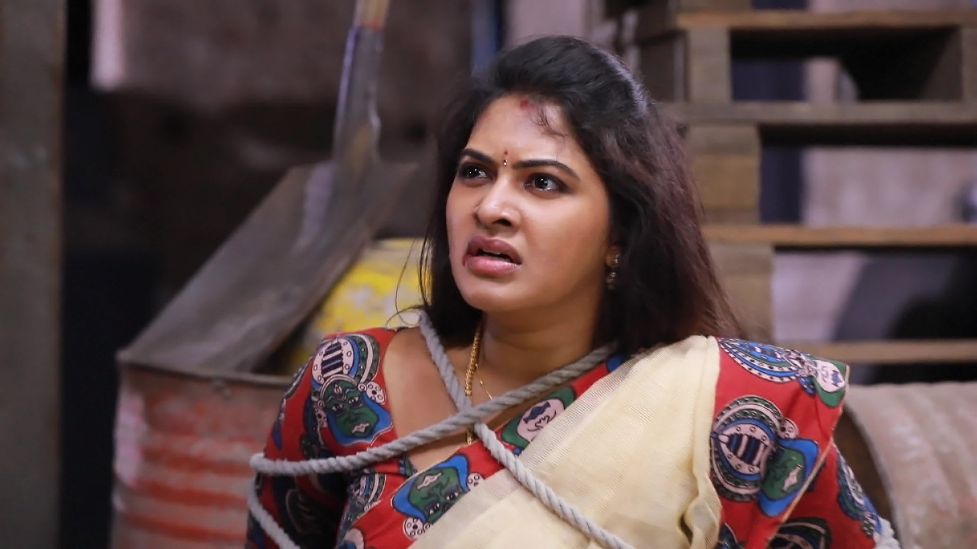 Meenatchi Gets Trapped